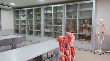 Laboratório Multidisciplinar - Anatomia Sintética